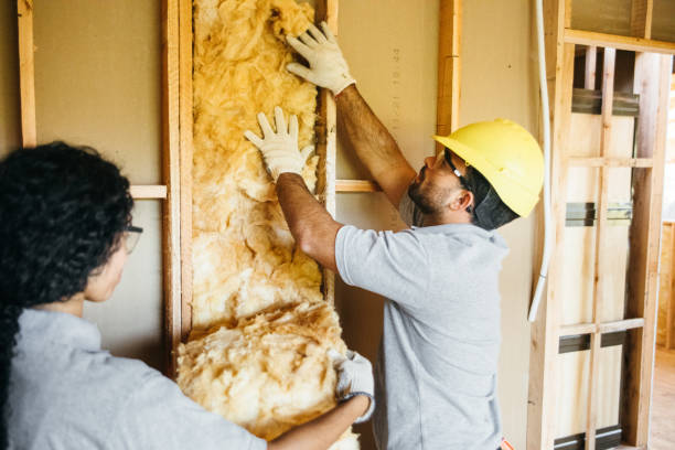 Best Insulation Contractors for Homes  in West Hurley, NY