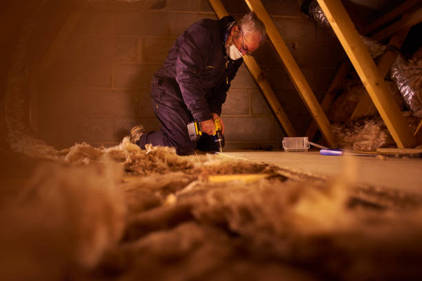 Best Insulation Removal  in West Hurley, NY